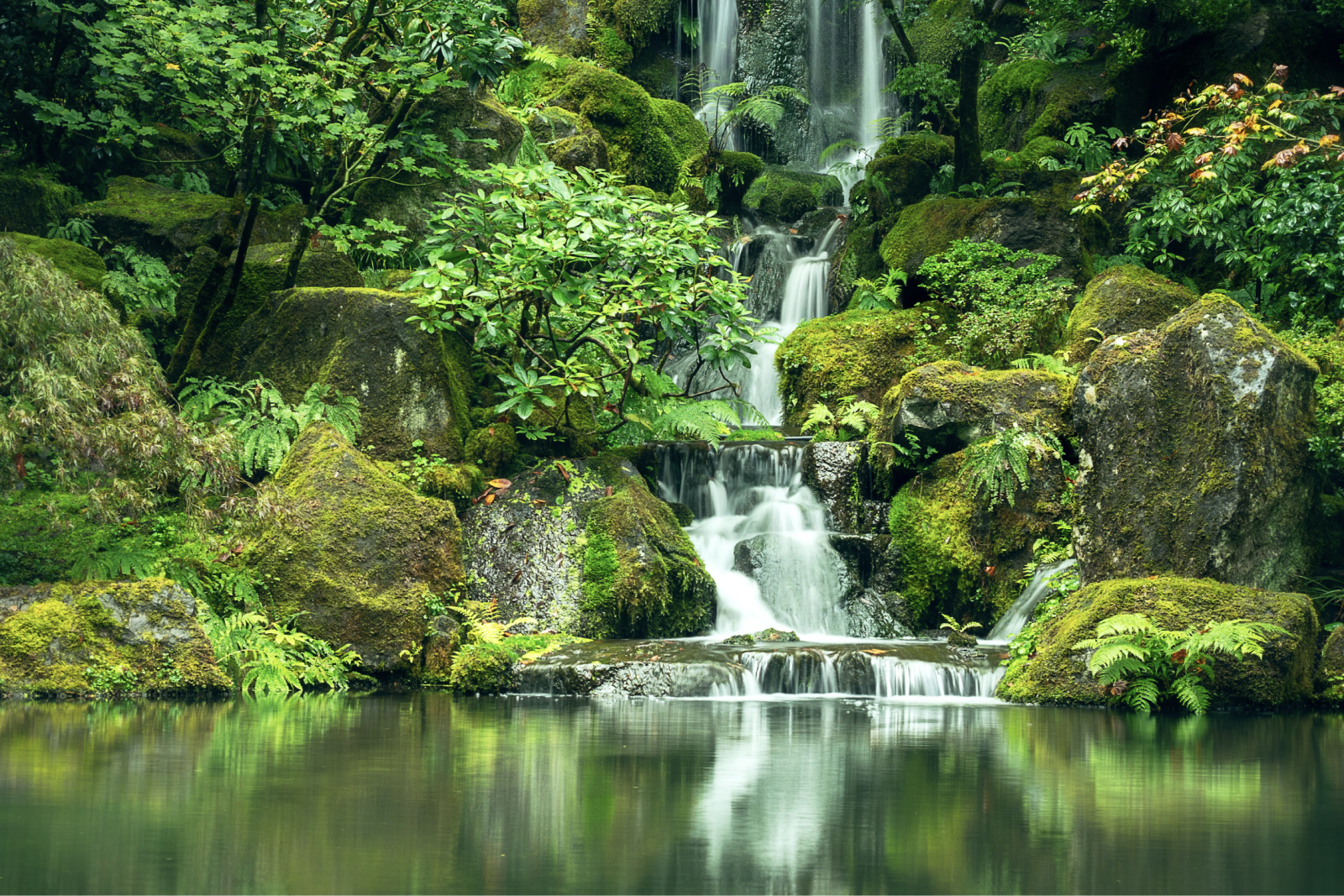 Cascade with lush vegetation