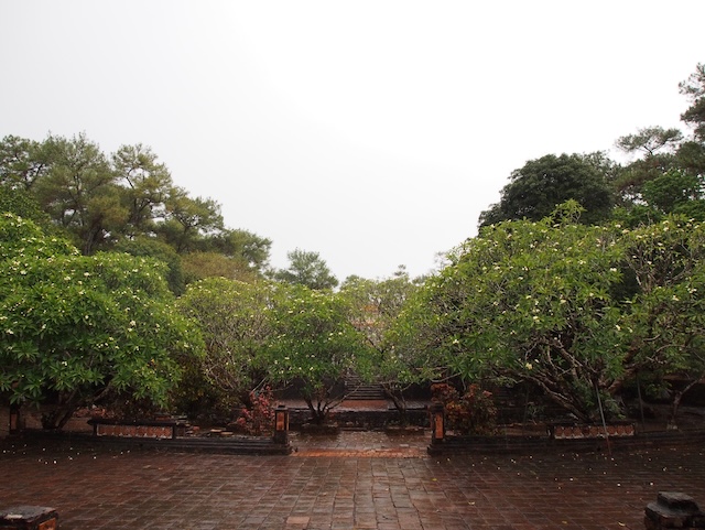 Rain over pavement and green trees